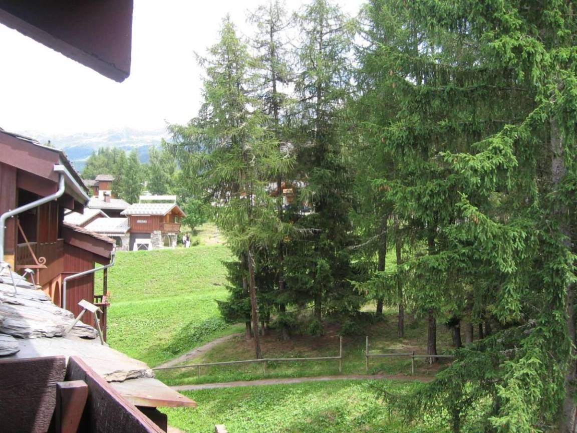 foto11
