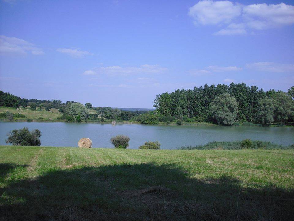 foto19
