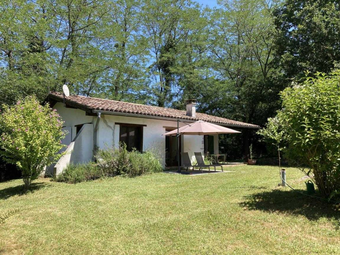 foto1
