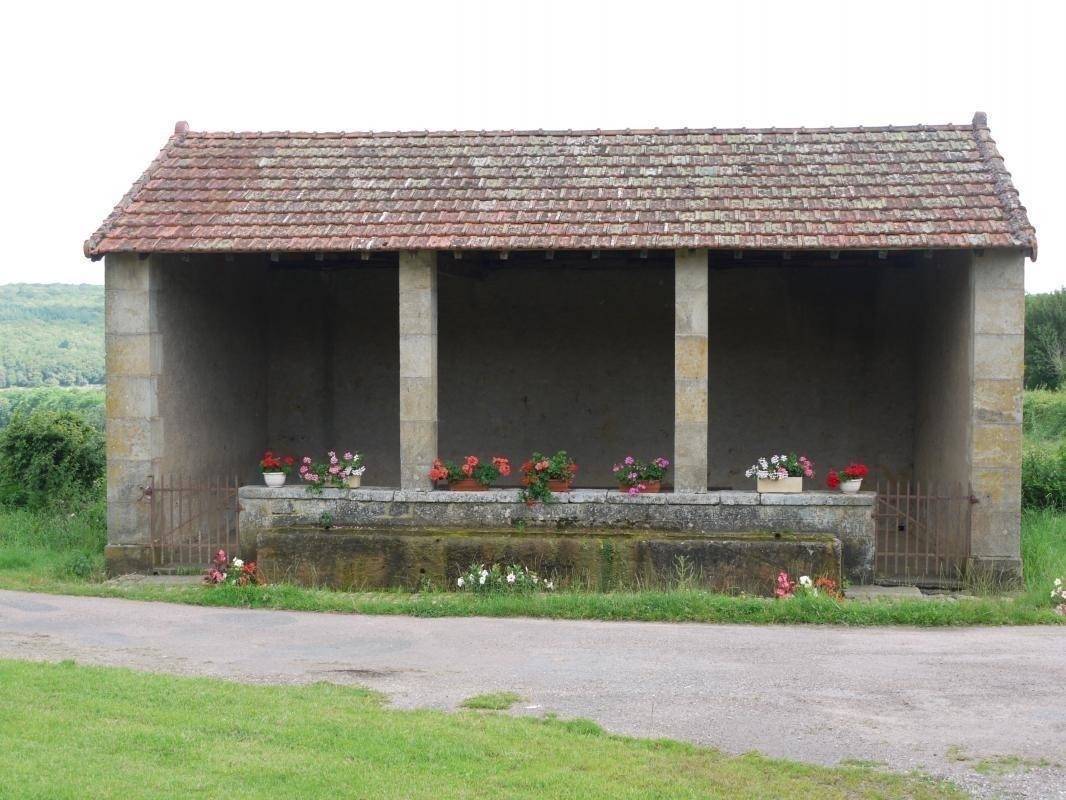 foto11