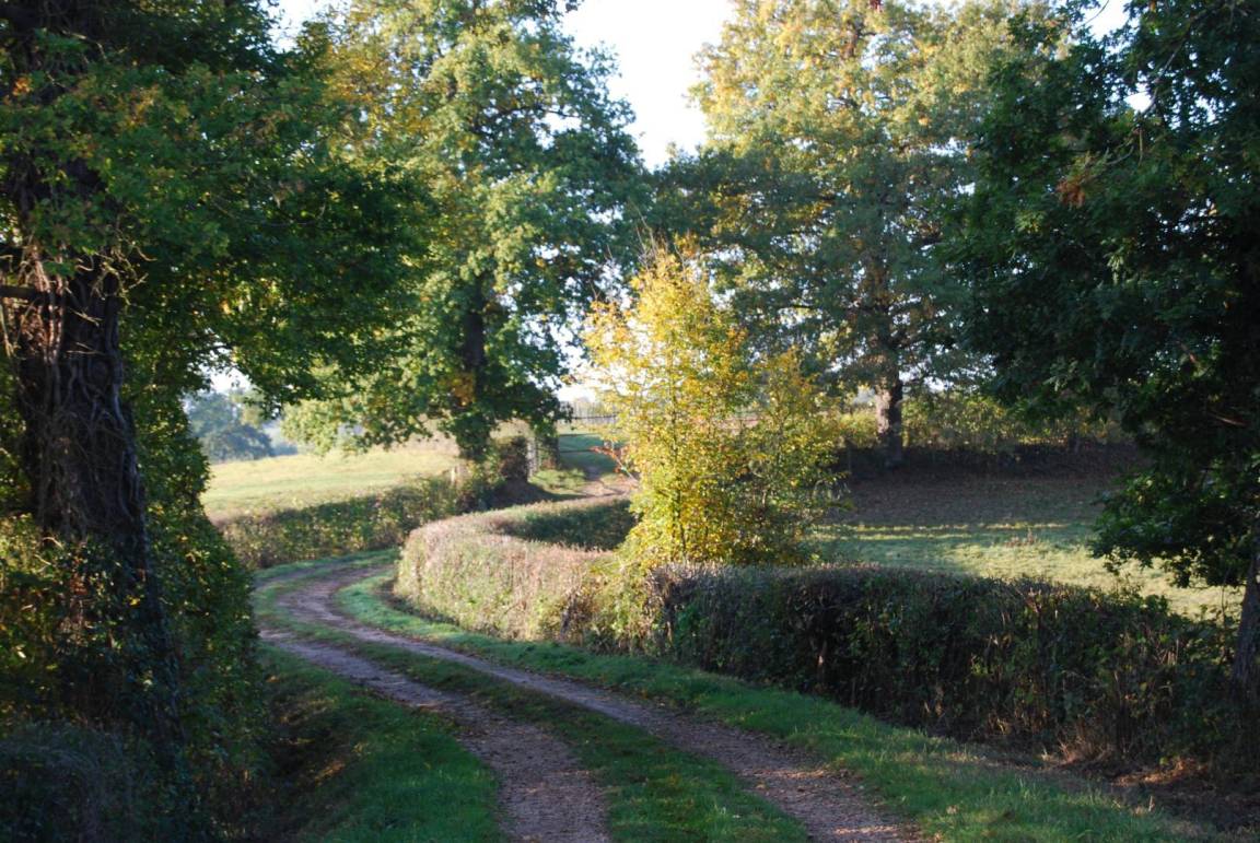 foto21