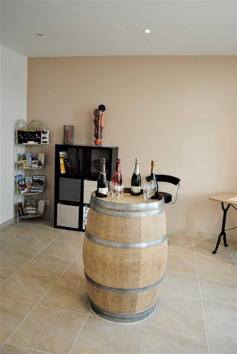 163 m² Gîte ∙ 4 Schlafzimmer ∙ 8 Gäste – Bild 8