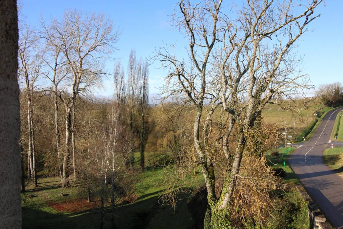 foto11