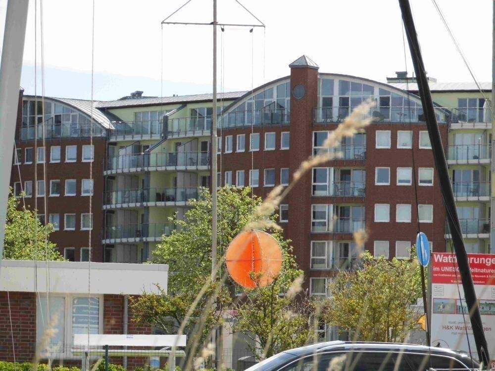 foto19