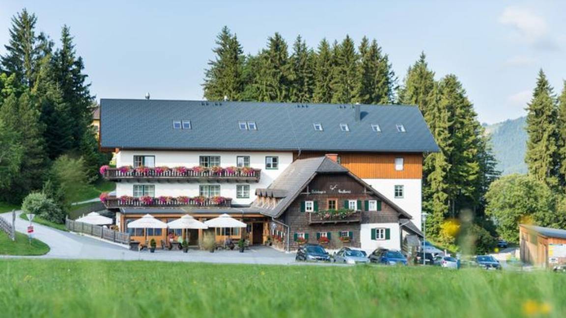 22 M² Hotel ∙ 1 Bedroom ∙ 3 Guests - Teichalm
