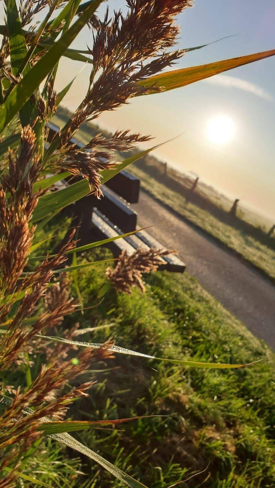 foto19