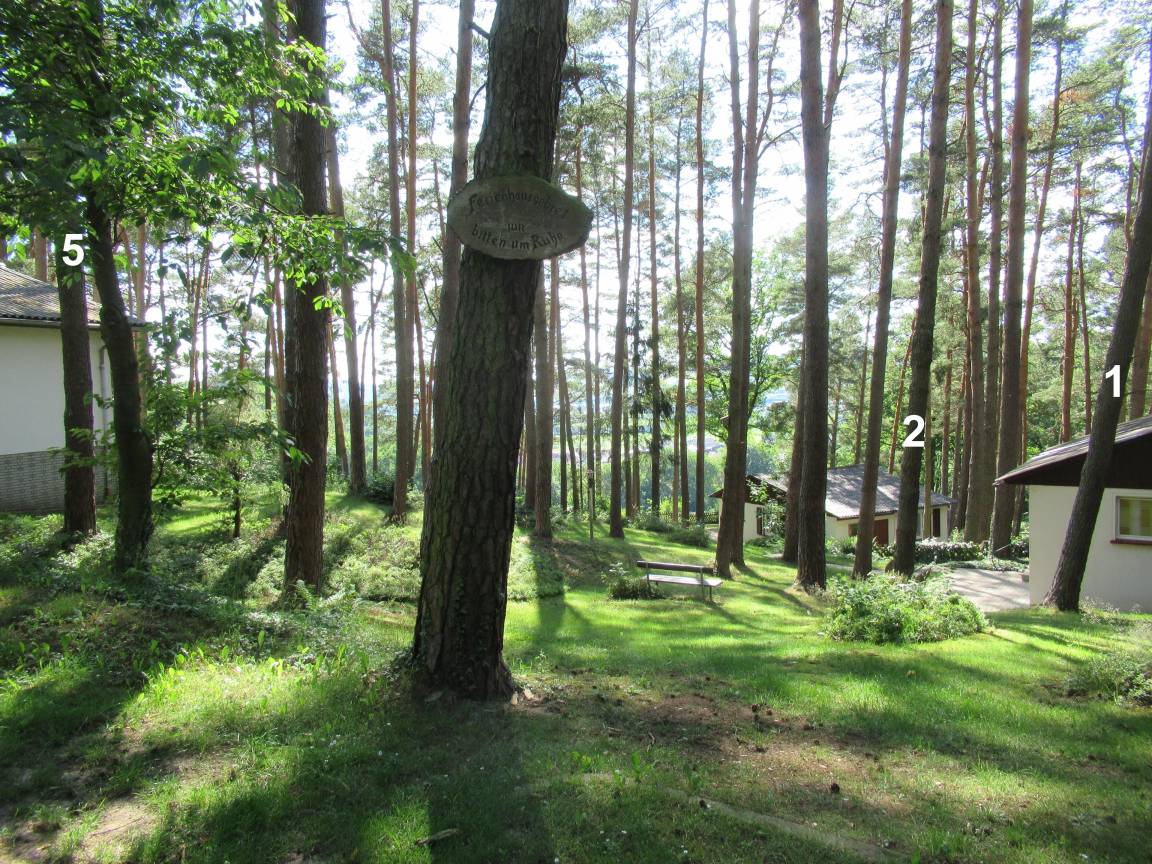 foto5