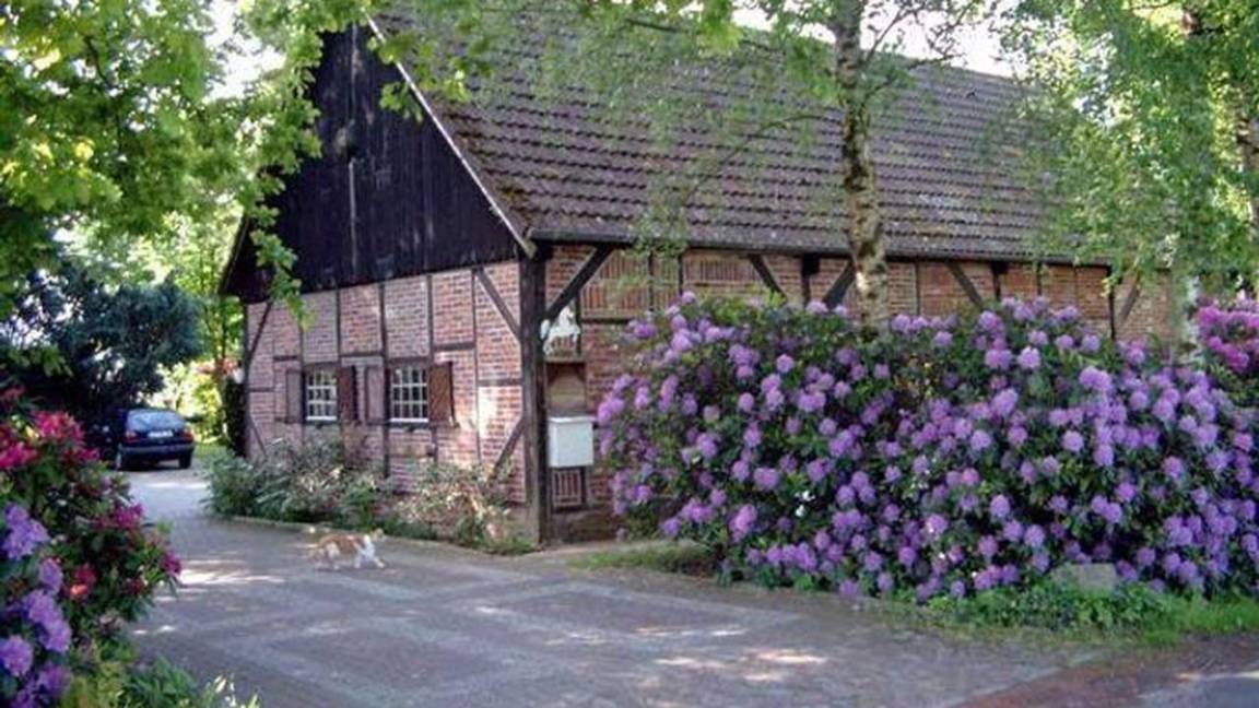 50 M² Apartamento ∙ 1 Habitación ∙ 3 Huéspedes - Bad Zwischenahn