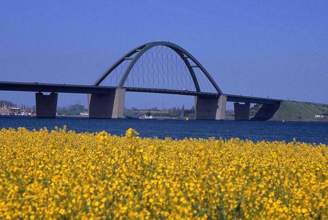 foto19