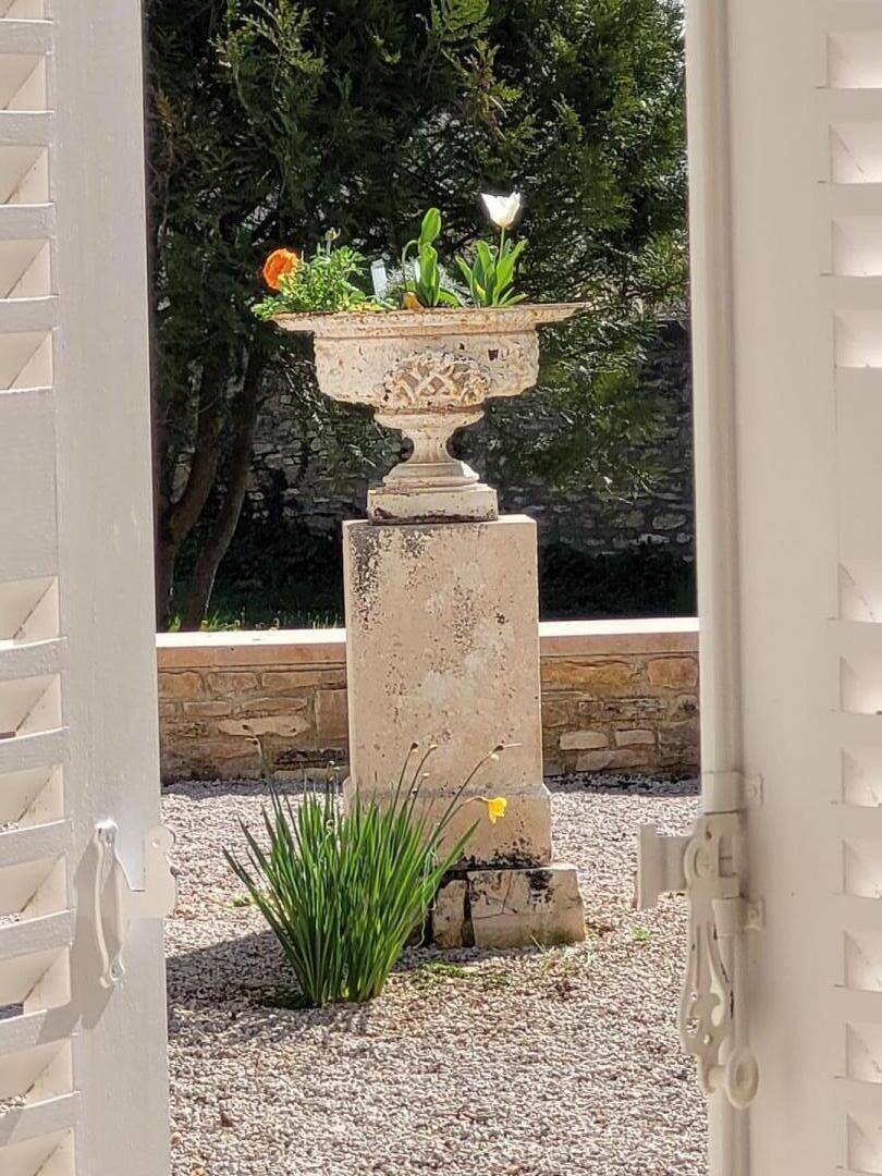 foto14