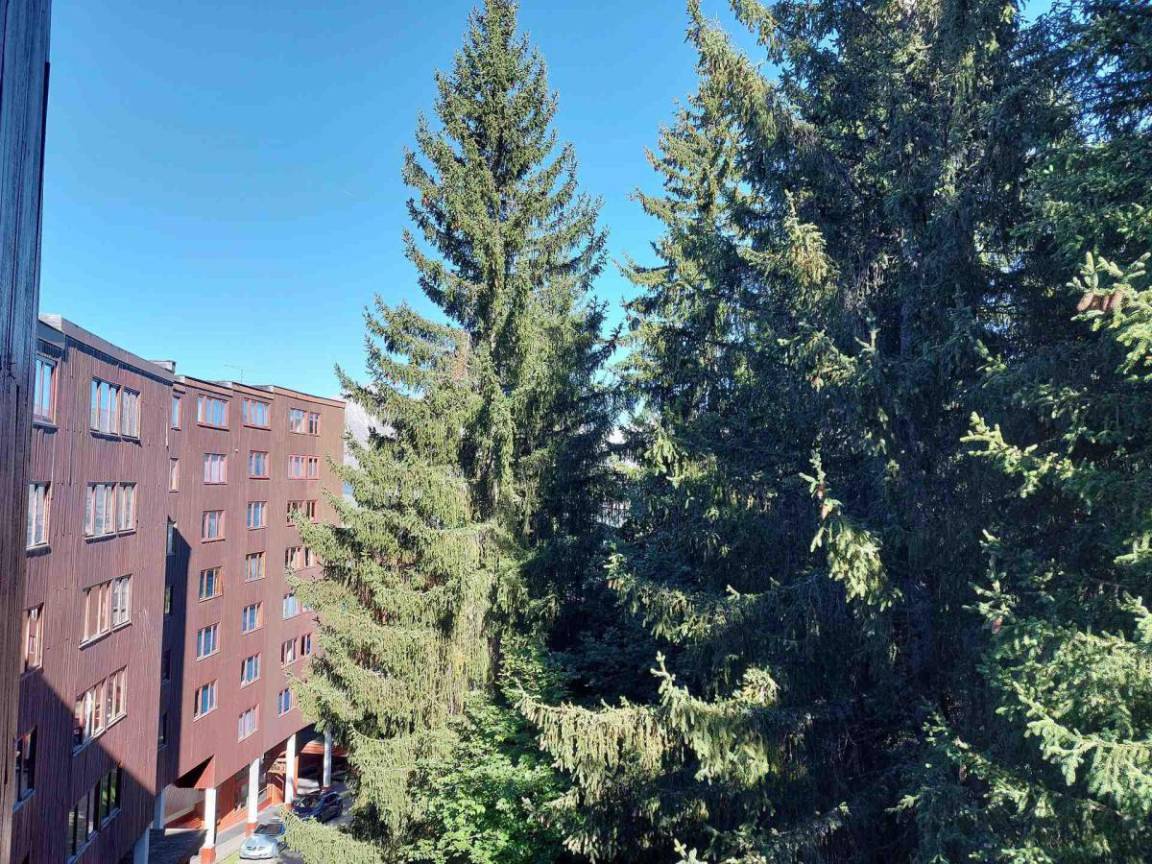 foto16