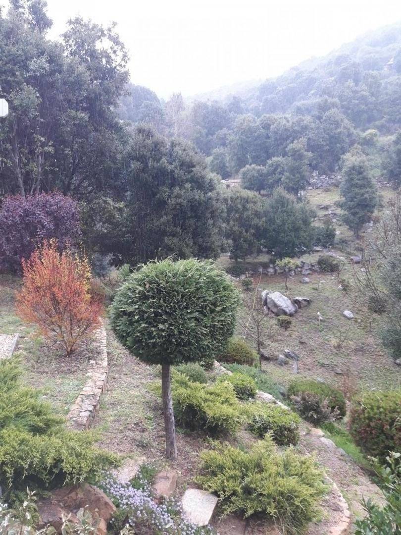 foto21