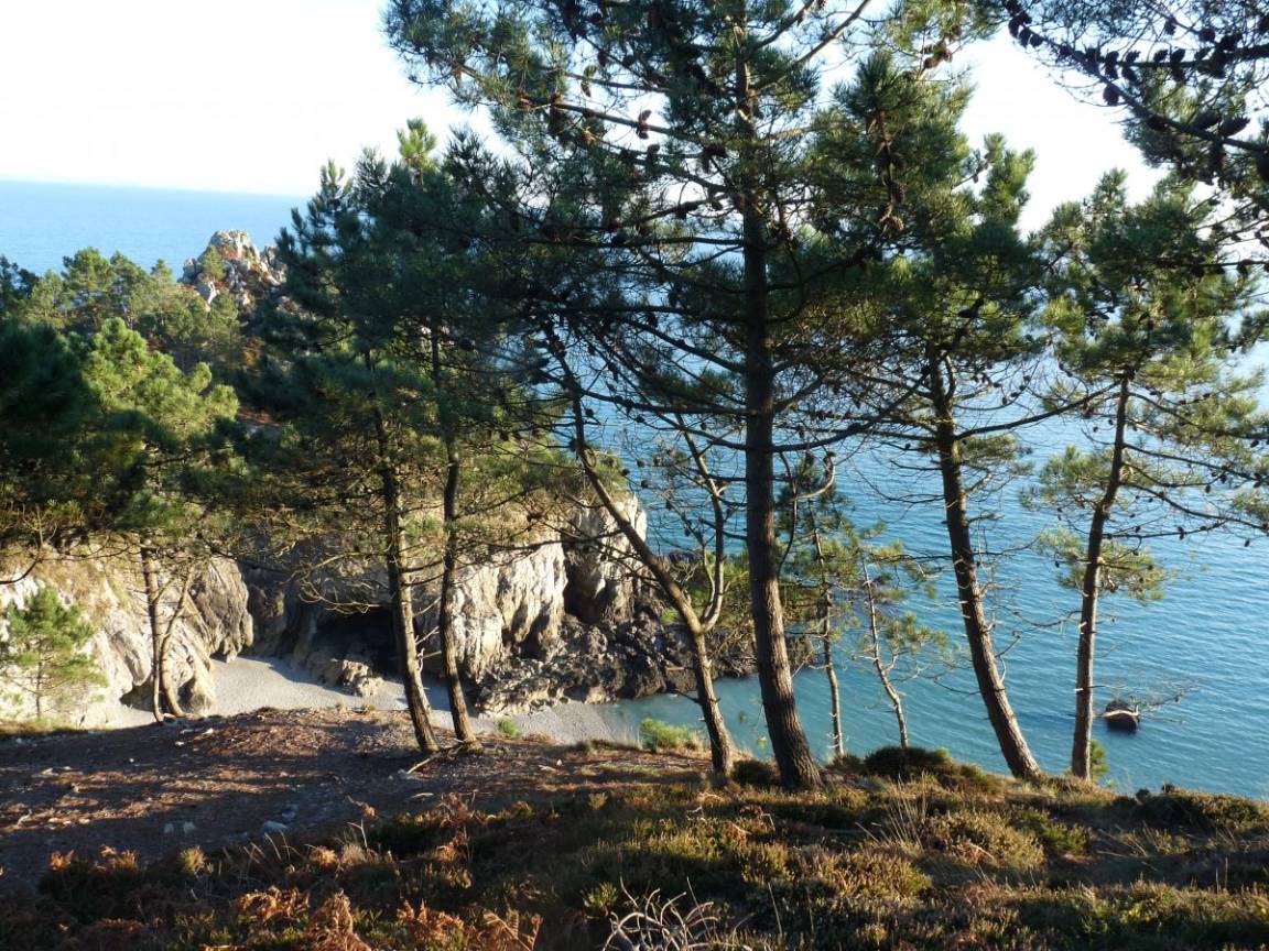foto26