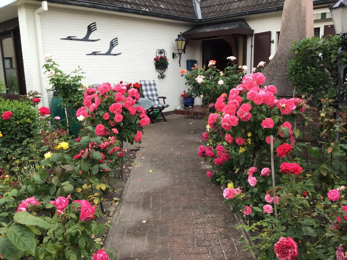 foto13