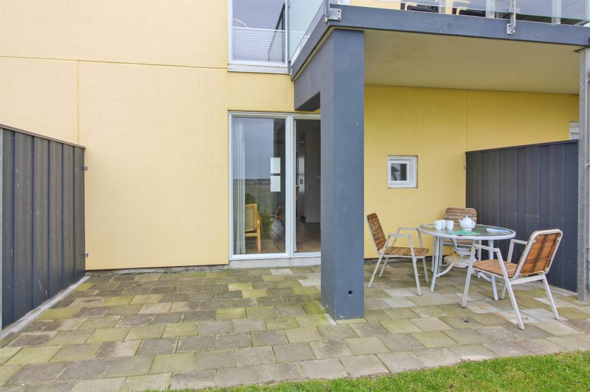 foto1
