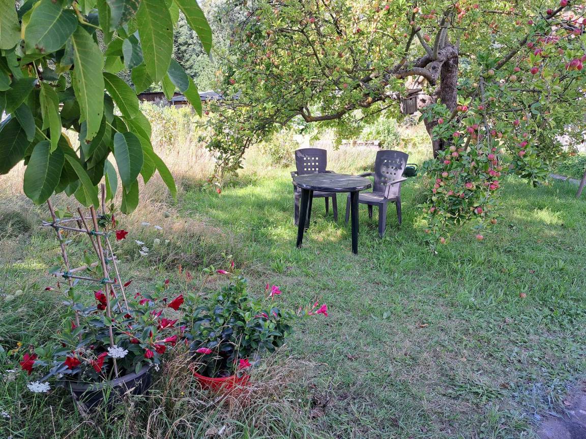 45 m² Ferienhaus ∙ 1 Schlafzimmer ∙ 2 Gäste – Bild 10