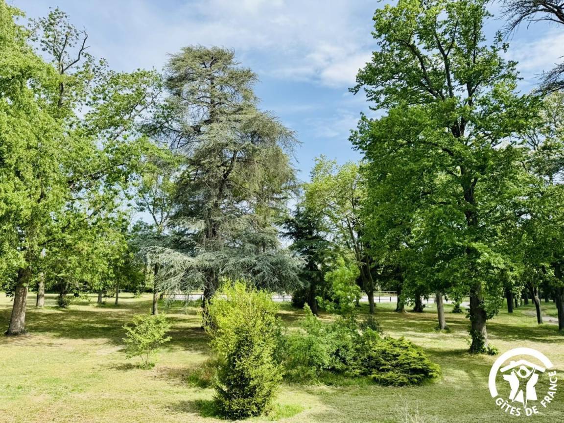 70 m² Gîte ∙ 2 Schlafzimmer ∙ 4 Gäste – Bild 3