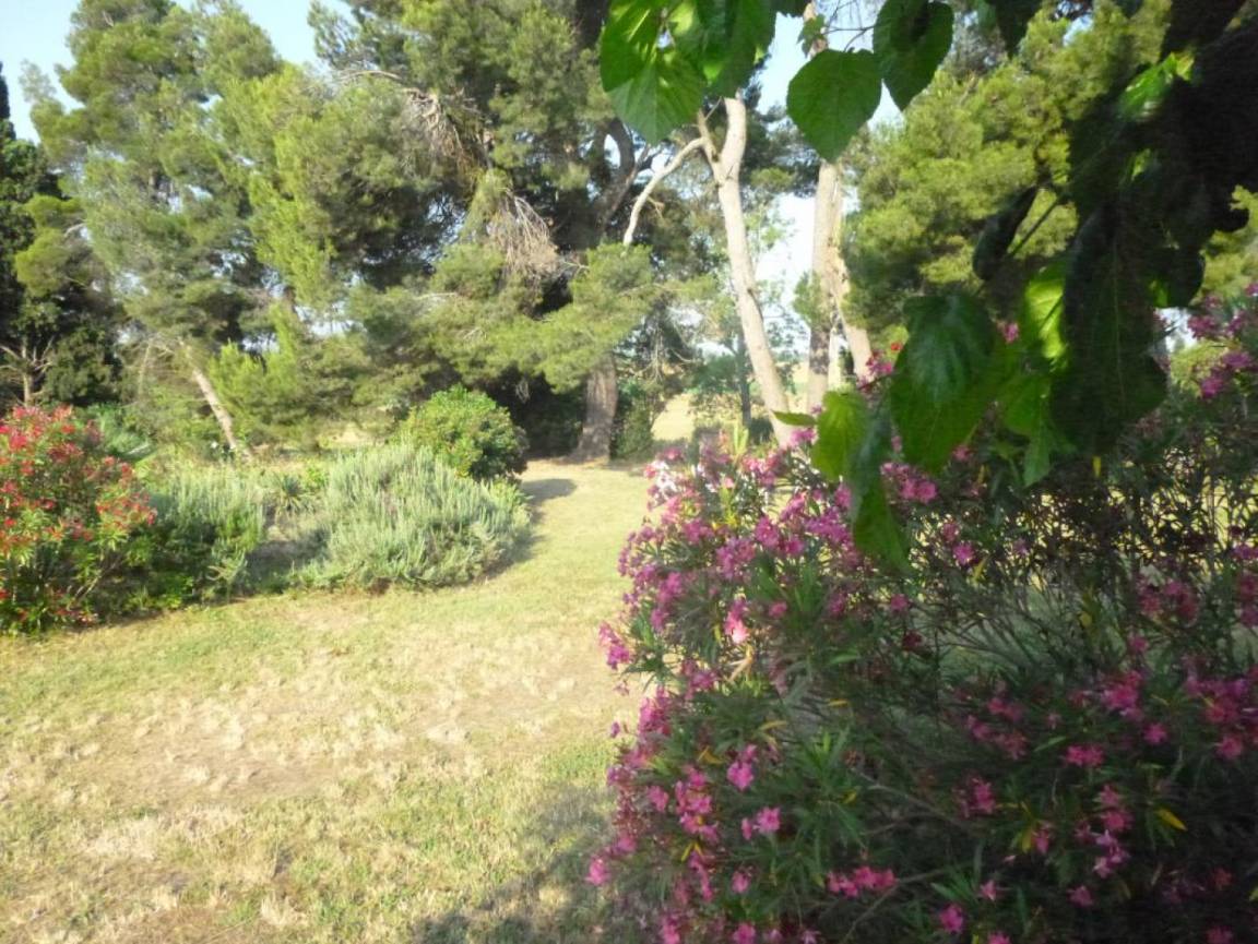 foto13