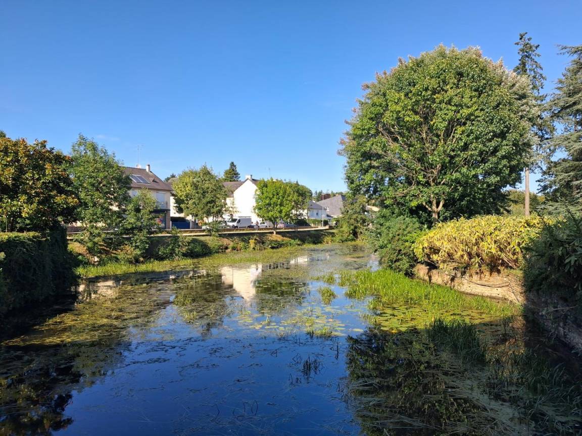 foto35