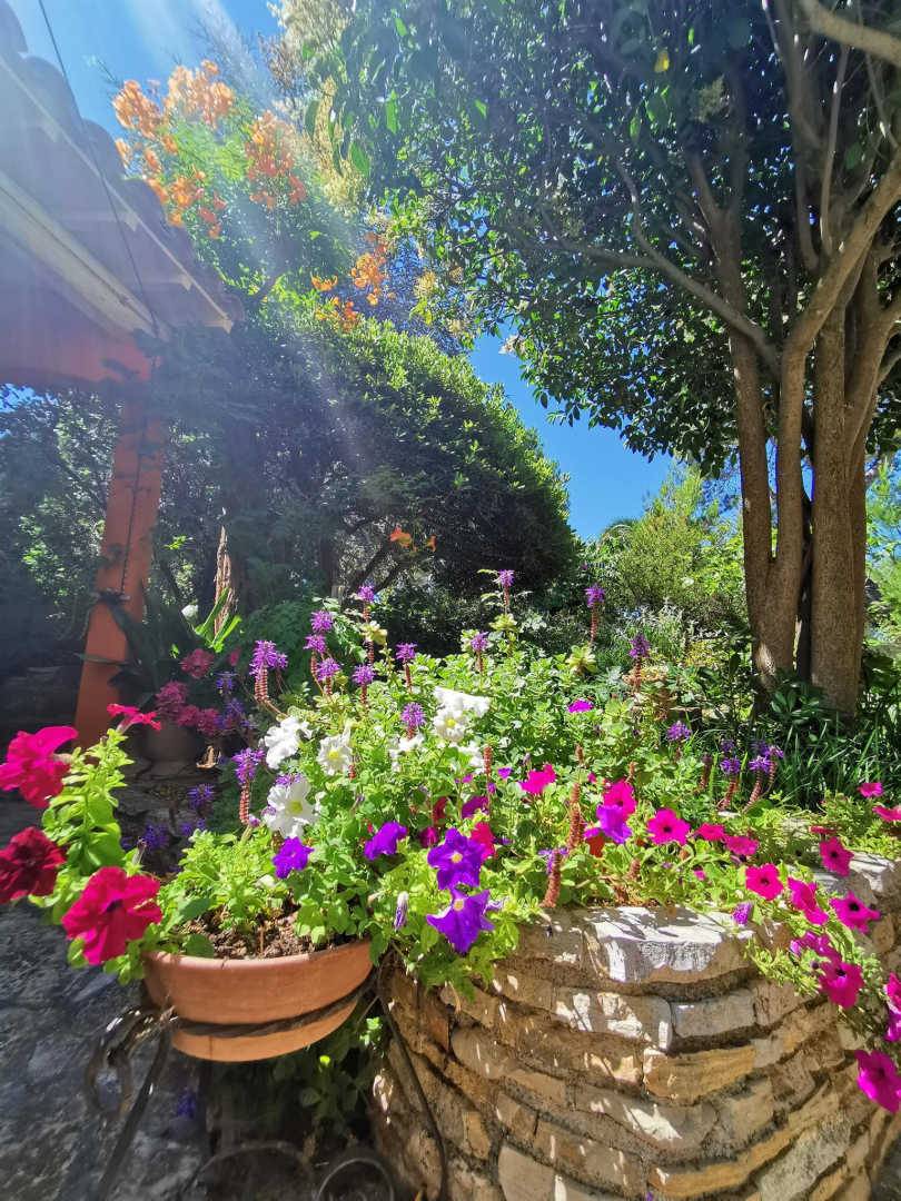 foto14