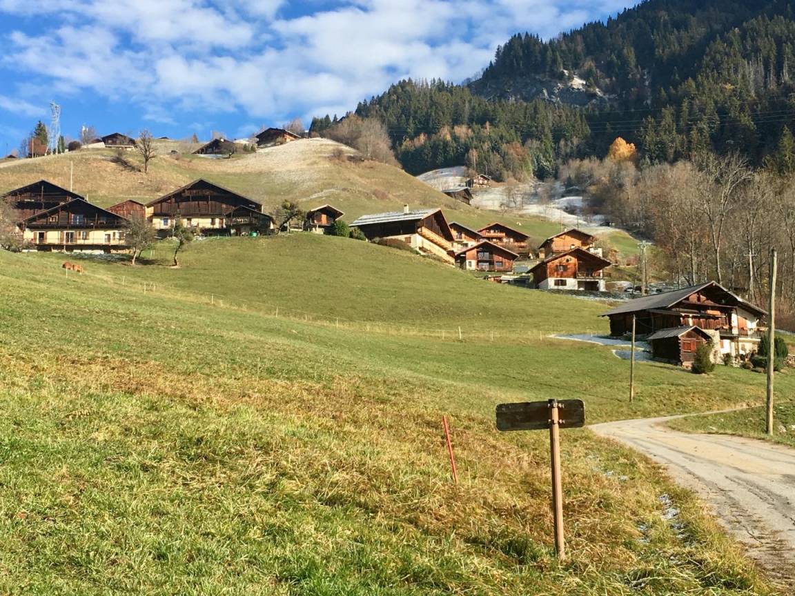 foto40