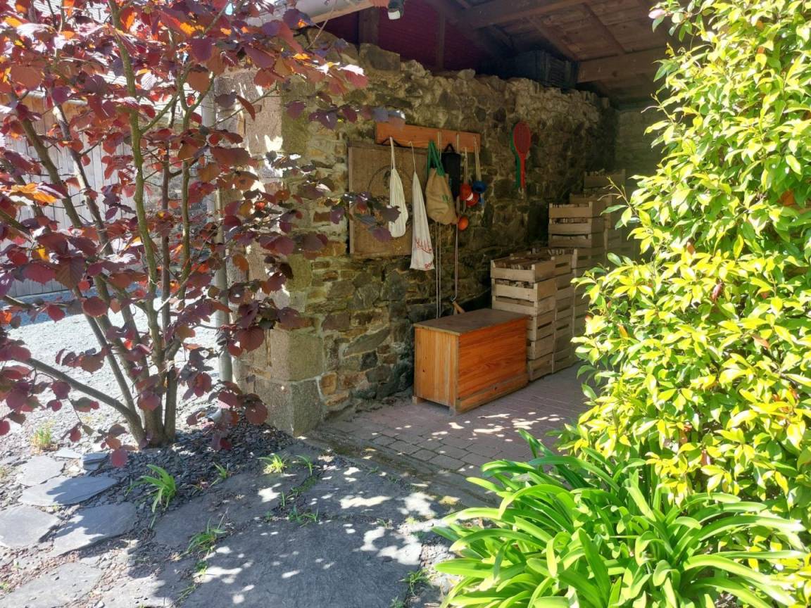 foto36
