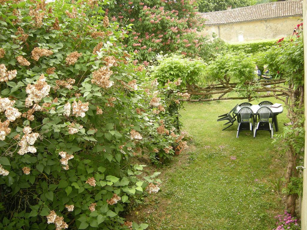 foto12