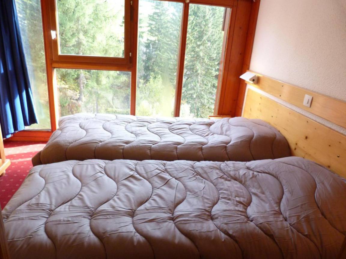 foto2