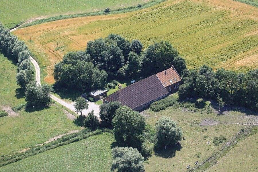 foto1