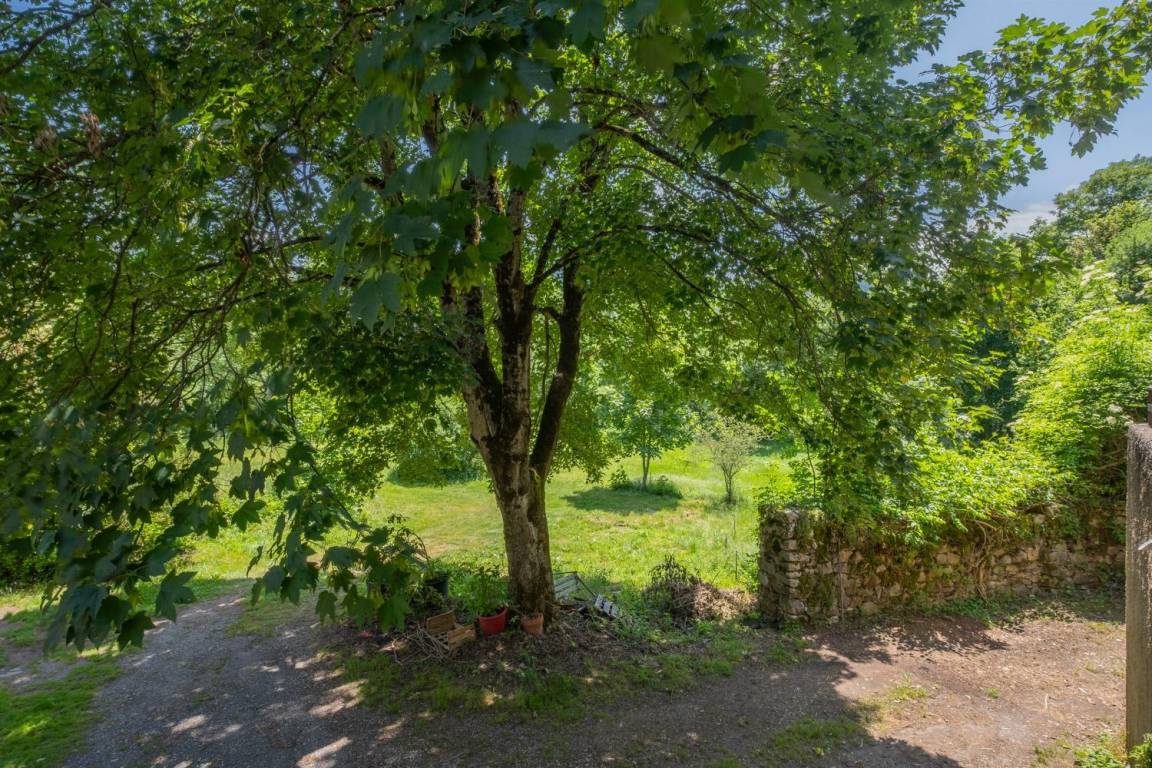 foto20