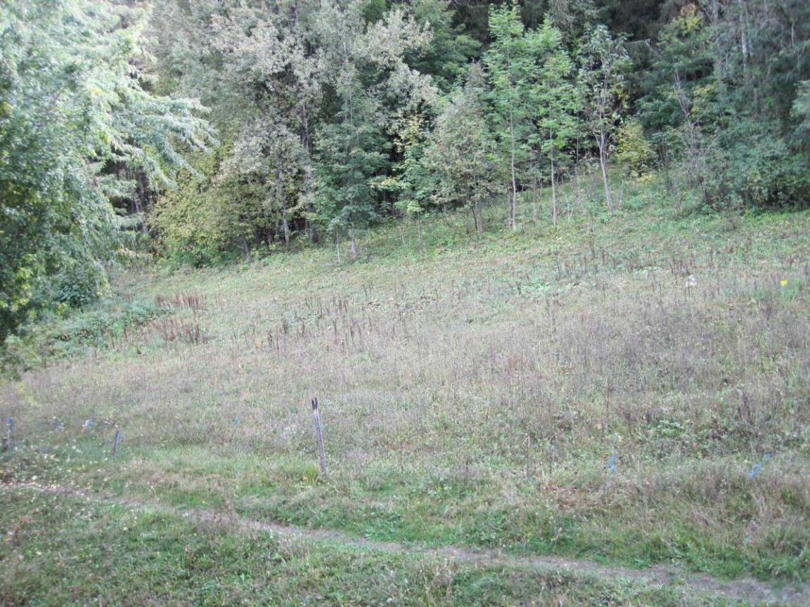 foto12