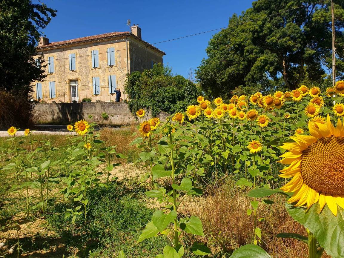 32 M² Chambre D'hôtes ∙ 1 Chambre ∙ 2 Personnes - Nérac