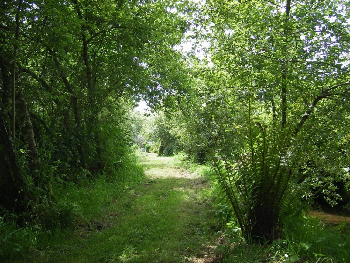 foto2