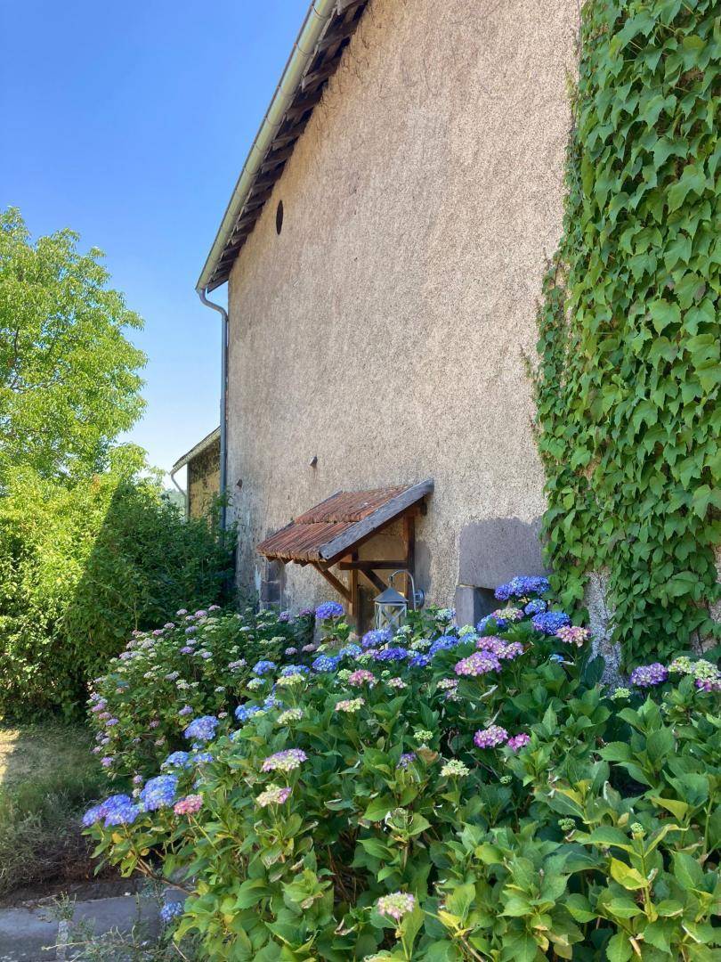 foto24