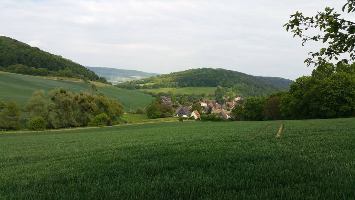 foto20