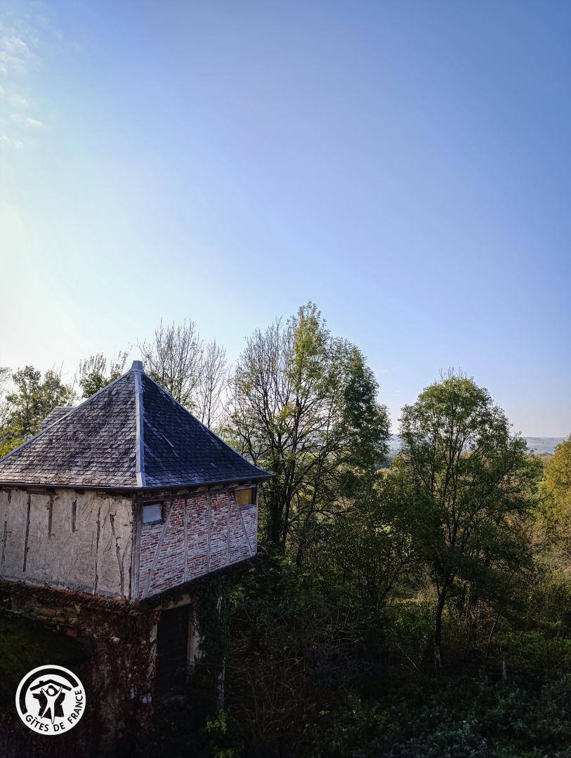 foto23