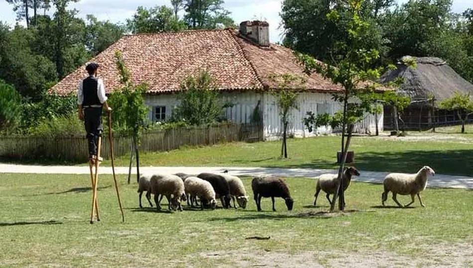 foto46