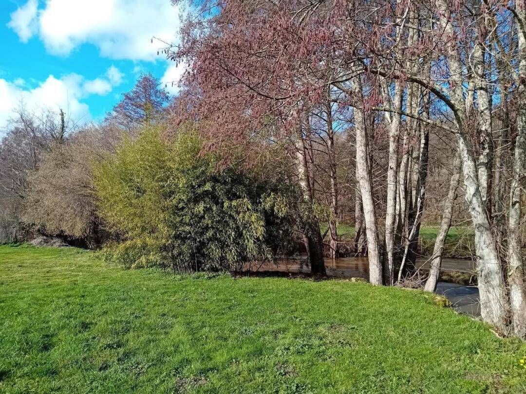 foto17