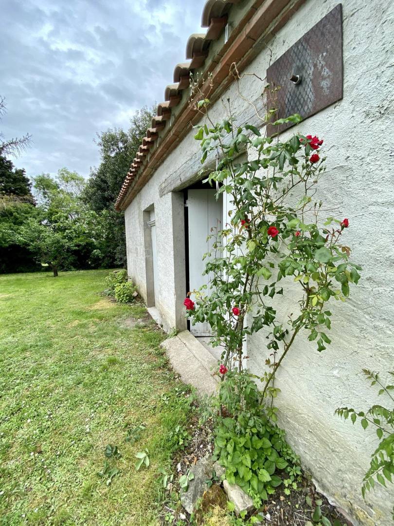 foto21