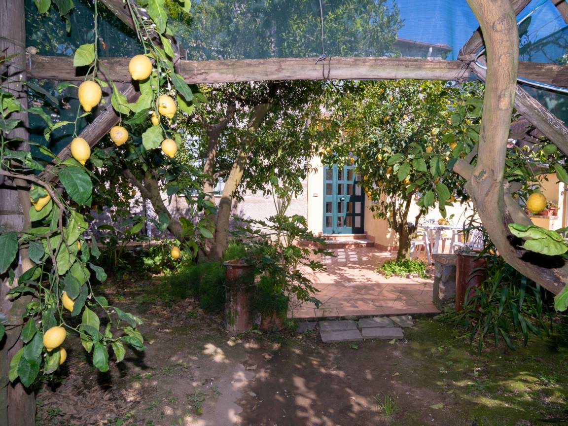 65 M² Ferienwohnung ∙ 1 Schlafzimmer ∙ 4 Gäste - Massa Lubrense