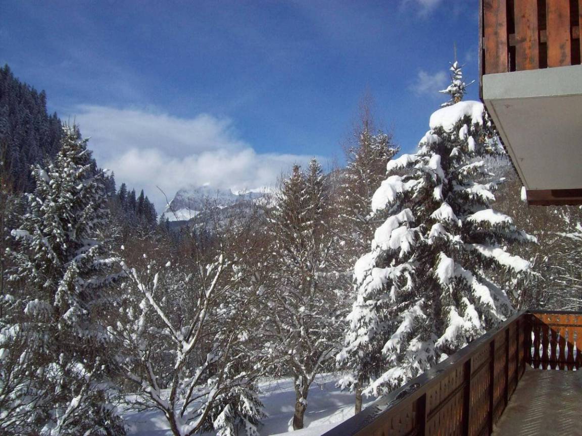 foto13