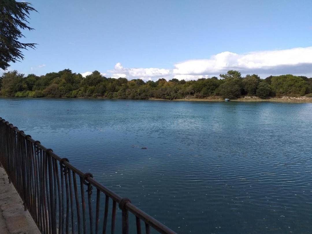 foto15