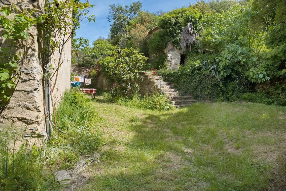 foto19