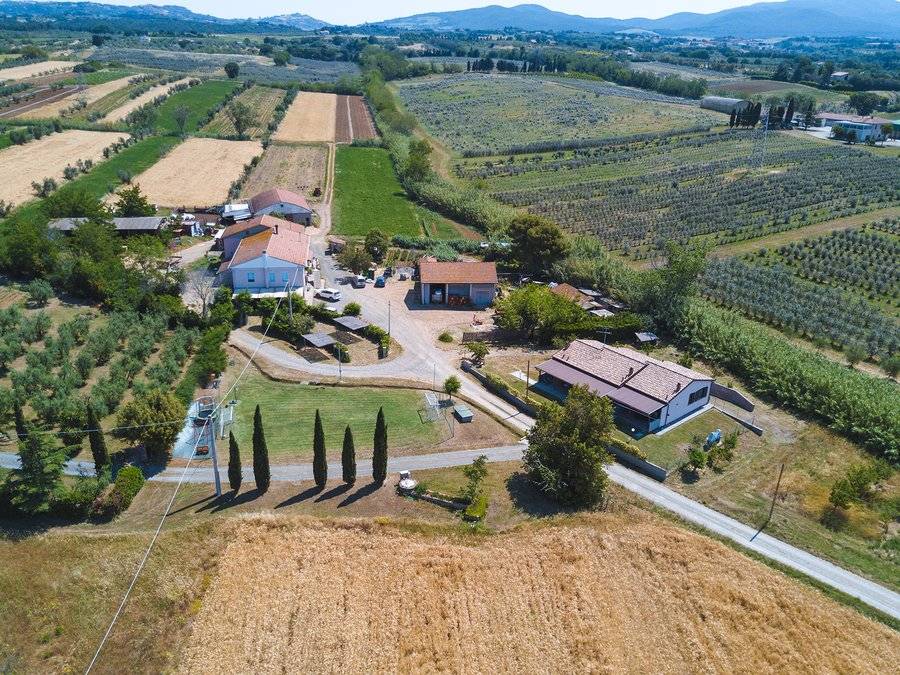 50 M² Agriturismo ∙ 1 Camera Da Letto ∙ 6 Ospiti - Bolgheri