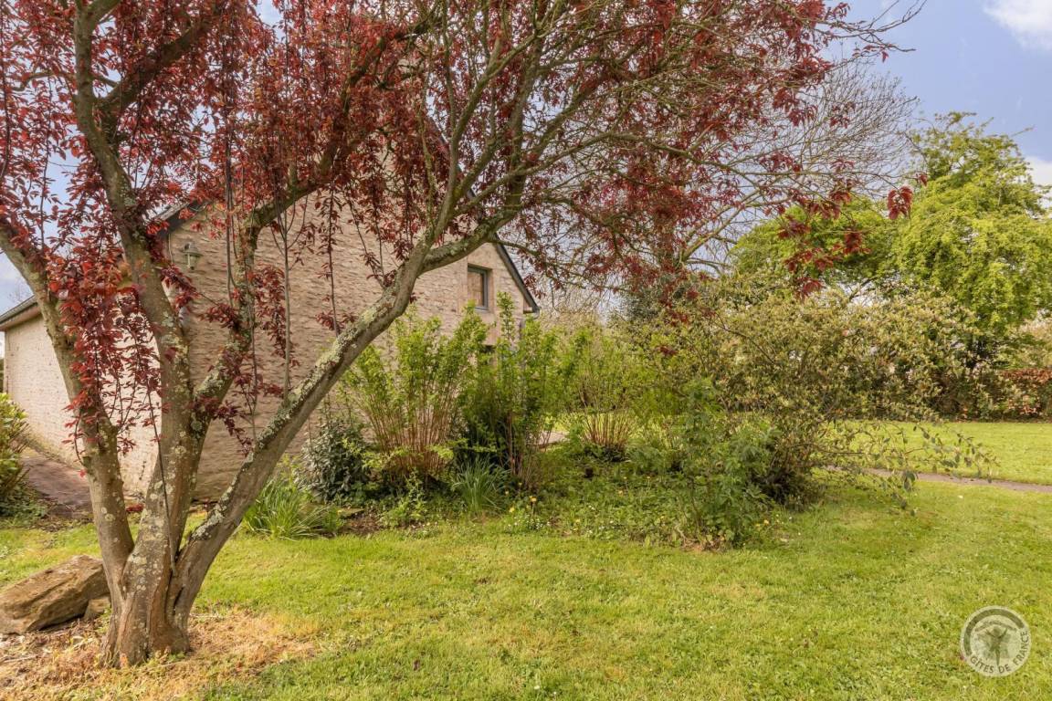 foto17