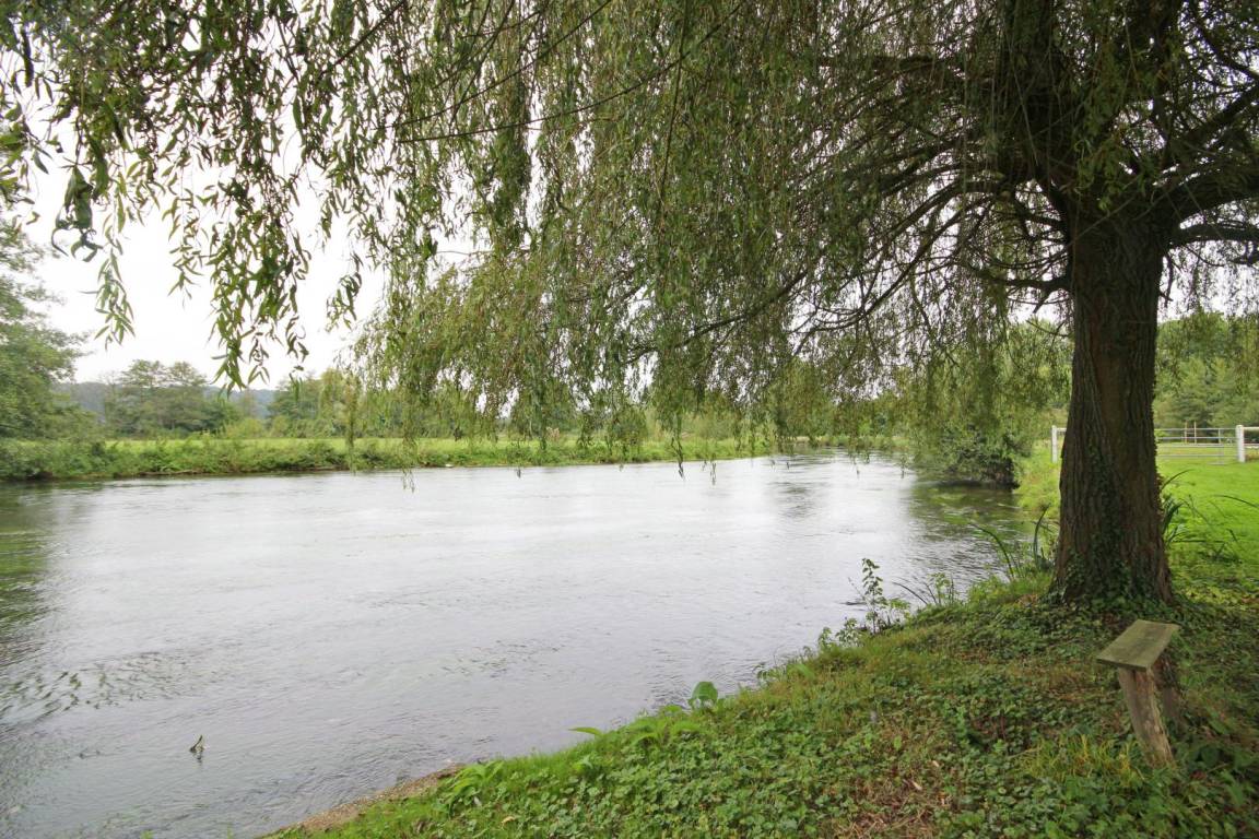 foto20