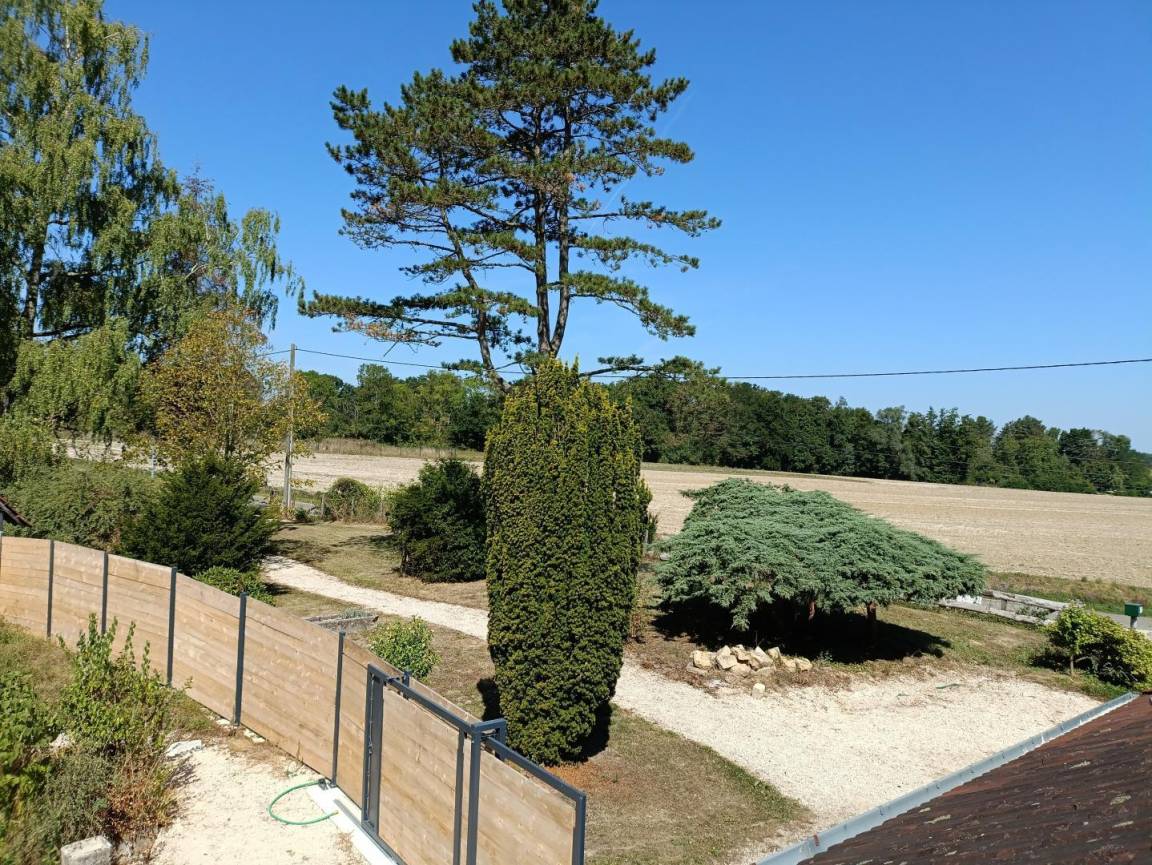 foto6