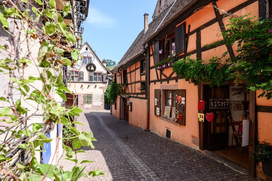 65 M² Appartement ∙ 1 Chambre ∙ 4 Personnes - Riquewihr