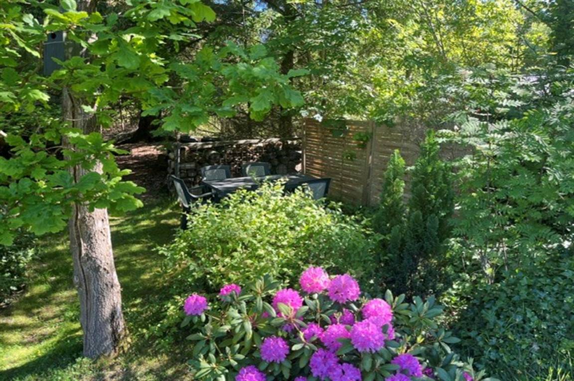 foto23