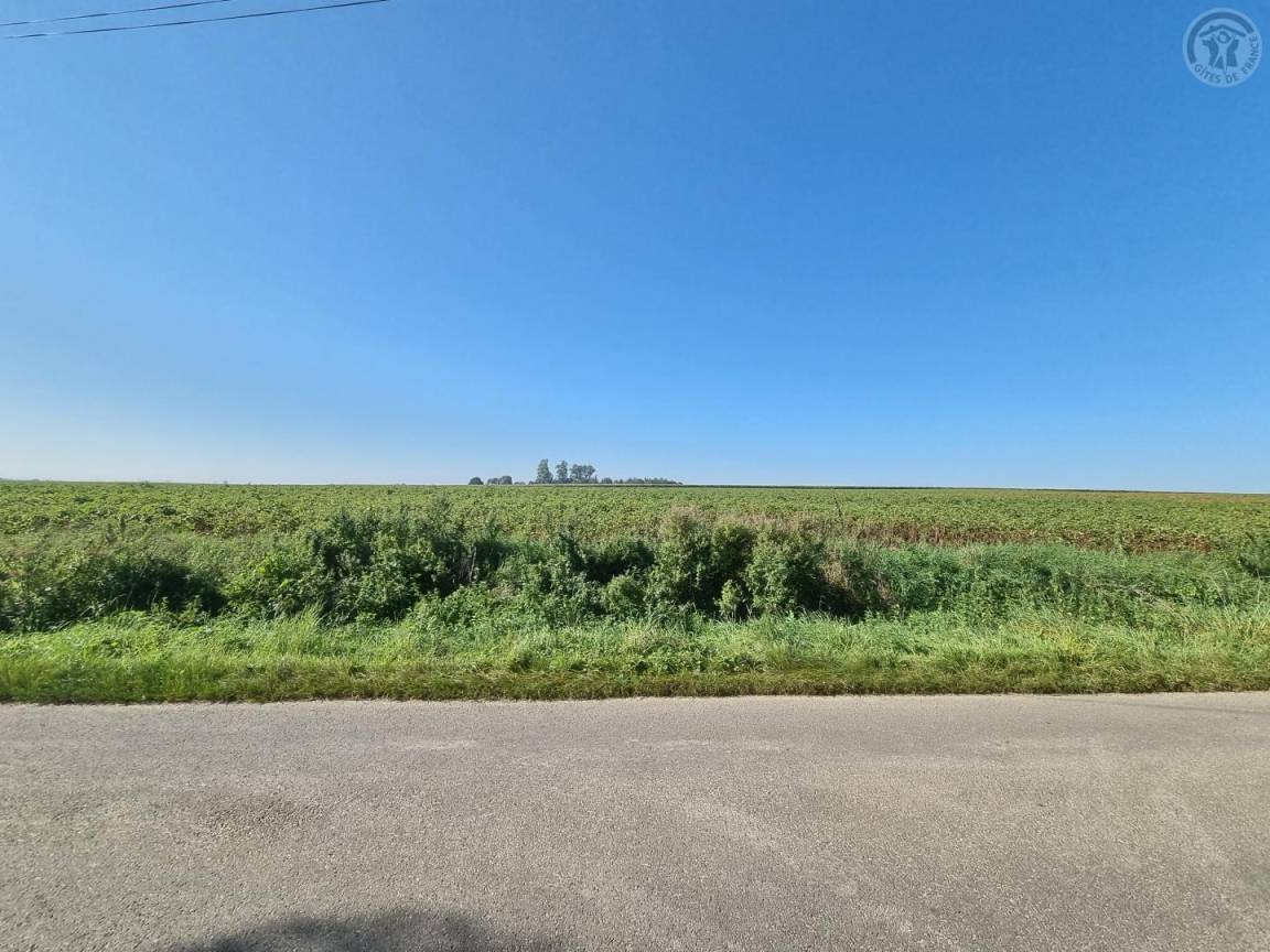 foto23